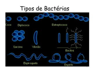 Tipos de Bactérias




                     4
 