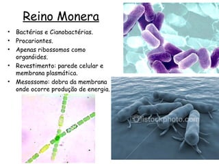 Reino Monera
•   Bactérias e Cianobactérias.
•   Procariontes.
•   Apenas ribossomos como
    organóides.
•   Revestimento: parede celular e
    membrana plasmática.
•   Mesossomo: dobra da membrana
    onde ocorre produção de energia.




                                       1
 
