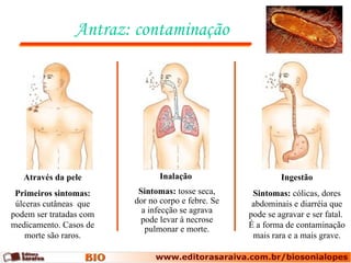 Antraz: contaminação




   Através da pele              Inalação                     Ingestão
 Primeiros sintomas:      Sintomas: tosse seca,      Sintomas: cólicas, dores
 úlceras cutâneas que    dor no corpo e febre. Se    abdominais e diarréia que
podem ser tratadas com     a infecção se agrava     pode se agravar e ser fatal.
                          pode levar à necrose
medicamento. Casos de       pulmonar e morte.       É a forma de contaminação
    morte são raros.                                 mais rara e a mais grave.
 