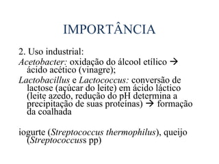 IMPORTÂNCIA
2. Uso industrial:
Acetobacter: oxidação do álcool etílico 
  ácido acético (vinagre);
Lactobacillus e Lactococcus: conversão de
  lactose (açúcar do leite) em ácido láctico
  (leite azedo, redução do pH determina a
  precipitação de suas proteínas)  formação
  da coalhada

iogurte (Streptococcus thermophilus), queijo
  (Streptococcuss pp)
 