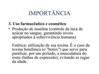 IMPORTÂNCIA
3. Uso farmacêutico e cosmético
• Produção de insulina (controle da taxa de
  açúcar no sangue, garantindo níveis
  apropriados à sobrevivência humana)
  Estética: utilização de sua toxina. É o caso da
  toxina botulínica (o "botox") que serve para
  paralisar, por um período, a musculatura do
  rosto (linhas de expressão), evitando as rugas
  da idade.
 