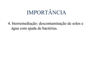 IMPORTÂNCIA
4. biorremediação: descontaminação de solos e
  água com ajuda de bactérias.
 