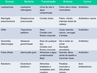 Doença        Bactéria        Transmissão            Sintoma              Vacina

Leptospirose    Leptospira         Urina de rato e     Febre alta e dores Antibiótico
                interrogans        água                musculares
                                   contaminada

Meningite       Streptococcus      Contato direto      Febre, vômito,      Antibiótico/ vacina
pneumocócica    pneumoniae                             intensas dores de
                                                       cabeça

Sífilis         Treponema          Sexo                Corpo dolorido,     Antibiótico
                pallidum           Contato com         cancro, verrugas
                                   fluidos corporais   e feridas

Gonorréia       Neisseria          Sexo de qualquer    Dor e ardor ao     Antibiótico
(blenorragia)   gonorrhoeae        tipo                urinar
                                   Contato com         Secreção
                                   fluidos corporais   amarelada
Febre tifóide   Salmonella typhi   Alimentos e água    Diarréia, febre,   Antibiótico
                                   contaminados        perda de apetite e
                                   Beijo               manchas rosas

Botulismo       Clostridium        Alimentos           Paralisia           Soro
                botulinum          enlatados e         muscular e          Antibotulínico
                                   embalados sem       dificuldade
 
