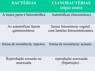 BACTÉRIAS                   CIANOBACTÉRIAS
                                     (algas azuis)
A maior parte é heterotrófica     Autotróficas (fotossíntese)


   As autotróficas fazem          fazem fotossíntese vegetal ,
      quimiossíntese.           com lamelas fotossintetizantes


forma de resistência: esporos. forma de resistência: acineto .


  Reprodução sexuada ou             reprodução assexuada
        assexuada                       (bipartição) .
 