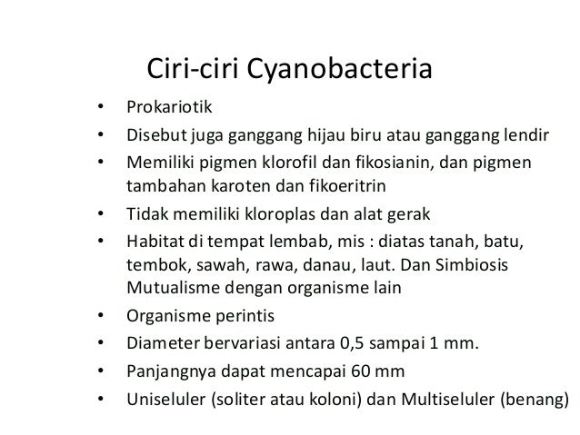Monera kelas 10 semester 1 biologi sma