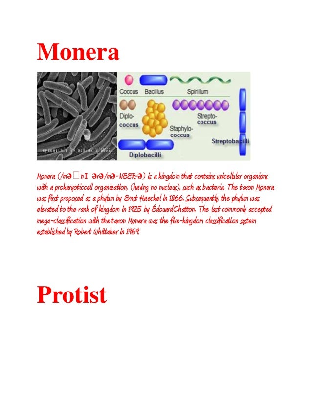 Monera