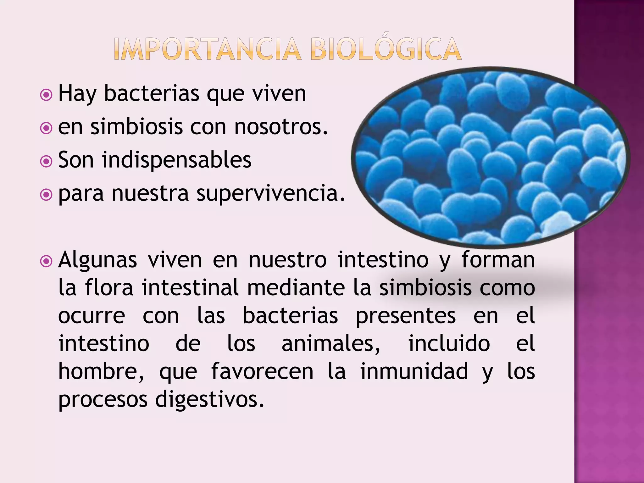 El Reino Monera | PPTX