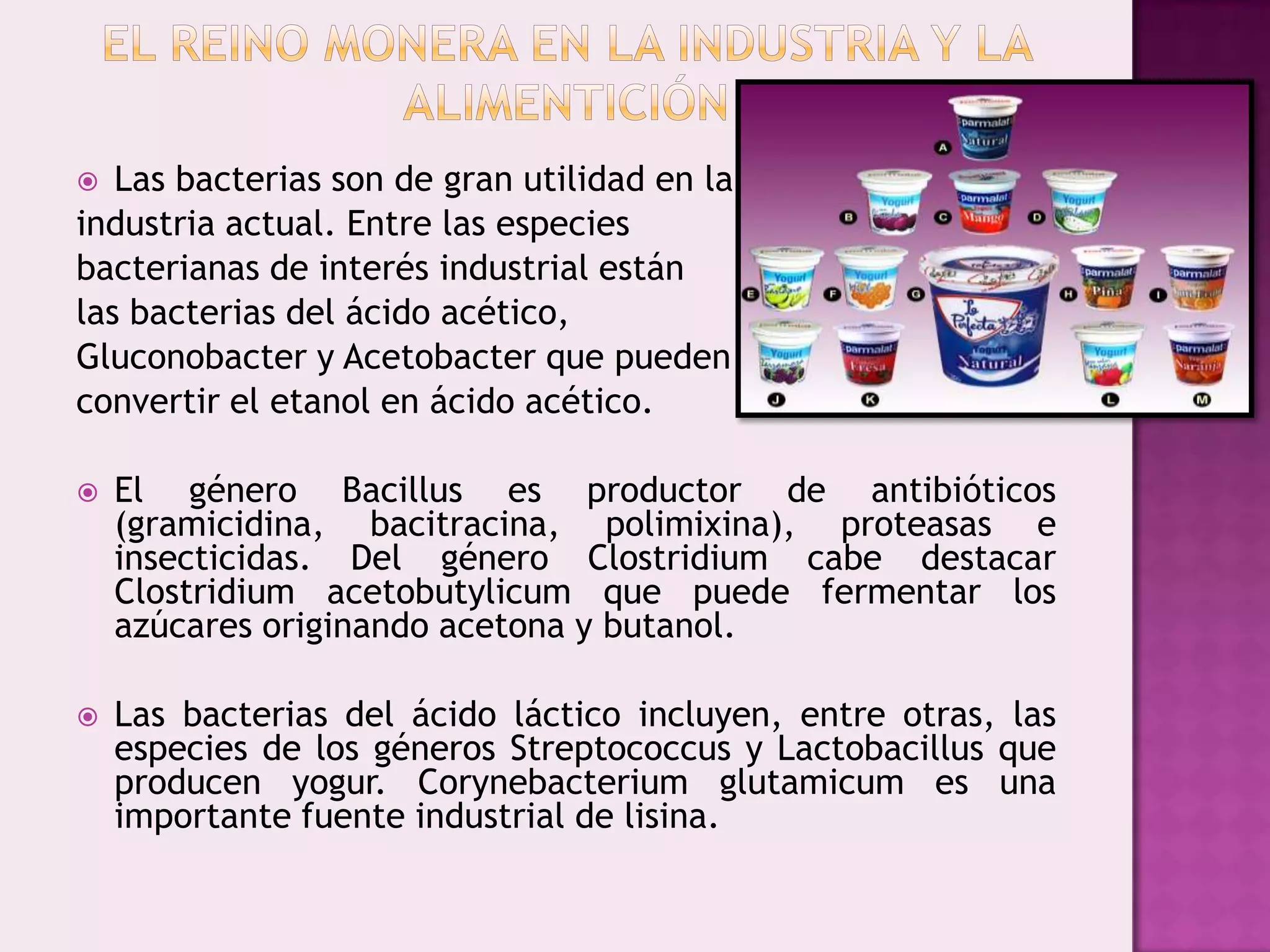 El Reino Monera | PPTX