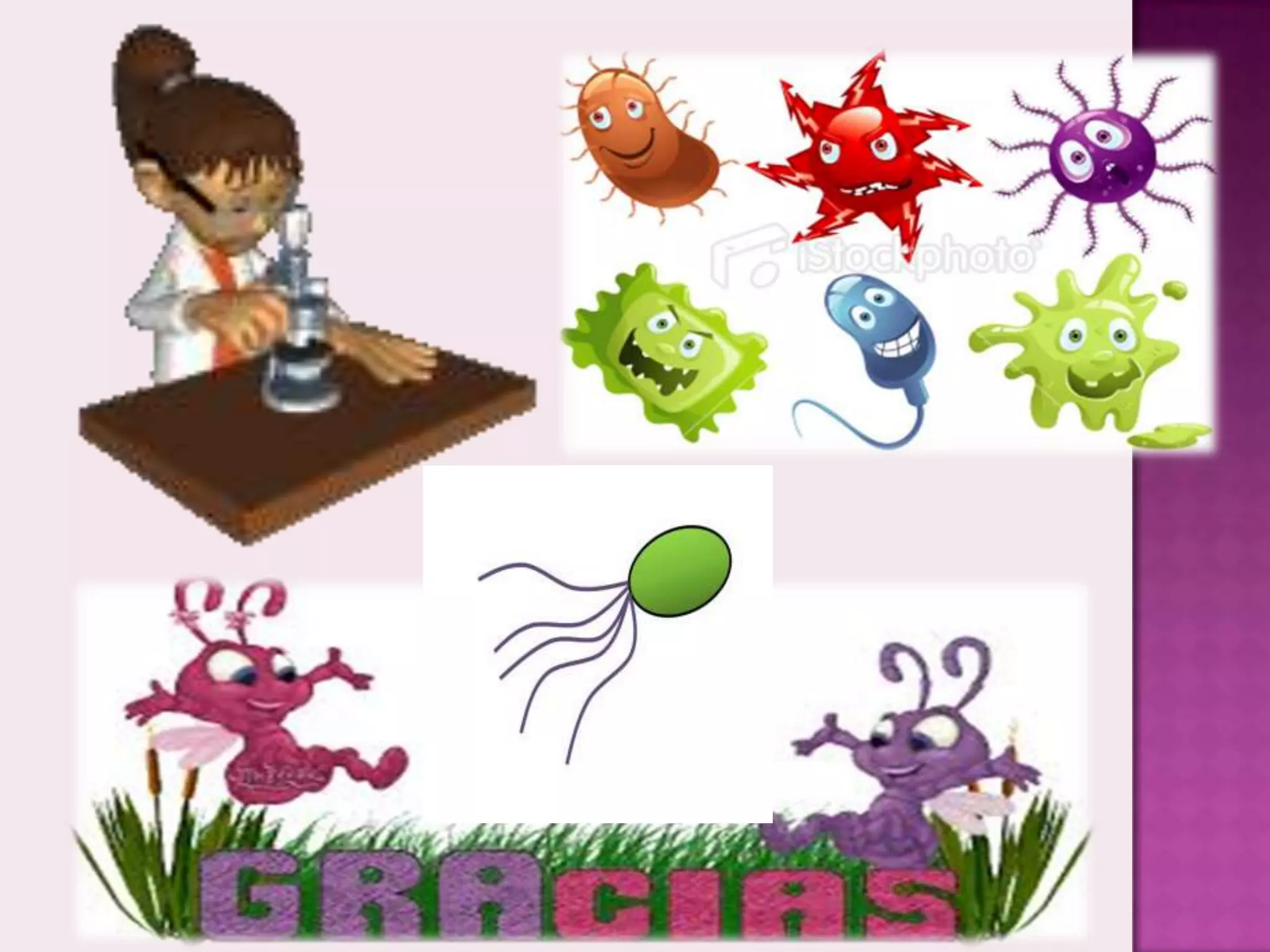 El Reino Monera | PPTX