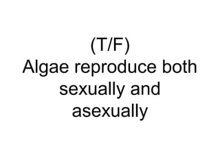 (T/F)
Algae reproduce both
sexually and
asexually
 