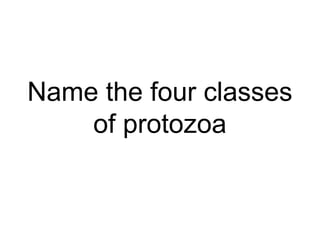 Name the four classes
of protozoa
 