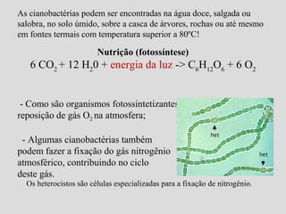 As cianobactérias podem ser encontradas na água doce, salgada ou
salobra, no solo úmido, sobre a casca de árvores, rochas ou até mesmo
em fontes termais com temperatura superior a 80ºC!
Nutrição (fotossíntese)
6 CO2
+ 12 H2
0 + energia da luz -> C6
H12
O6
+ 6 O2
- Como são organismos fotossintetizantes, contribuem para a
reposição de gás O2 na atmosfera;
- Algumas cianobactérias também
podem fazer a fixação do gás nitrogênio
atmosférico, contribuindo no ciclo
deste gás.
Os heterocistos são células especializadas para a fixação de nitrogênio.
 