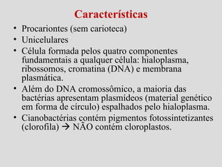 Características
• Procariontes (sem carioteca)
• Unicelulares
• Célula formada pelos quatro componentes
fundamentais a qualquer célula: hialoplasma,
ribossomos, cromatina (DNA) e membrana
plasmática.
• Além do DNA cromossômico, a maioria das
bactérias apresentam plasmídeos (material genético
em forma de círculo) espalhados pelo hialoplasma.
• Cianobactérias contém pigmentos fotossintetizantes
(clorofila)  NÃO contém cloroplastos.
 