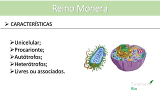 Cavalcante
Reino Monera
Unicelular;
Procarionte;
Autótrofos;
Heterótrofos;
Livres ou associados.
 CARACTERÍSTICAS
 