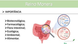 Cavalcante
Reino Monera
 IMPORTÂNCIA
Biotecnológica;
Farmacológica;
Flora intestinal;
Ecológica;
Ambiental;
Alimentar.
 