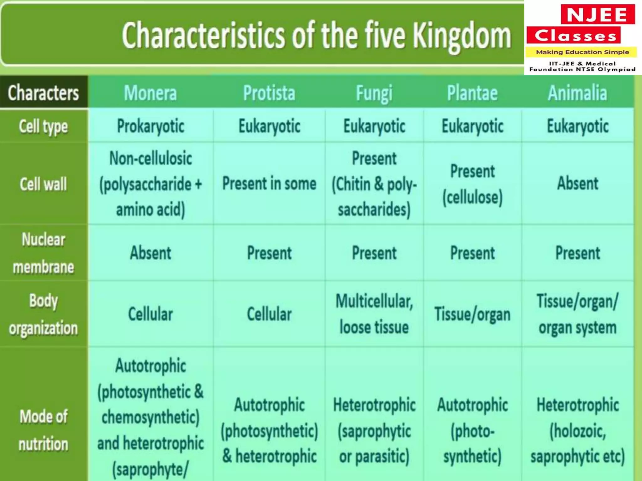 Classification of monera (93) foto