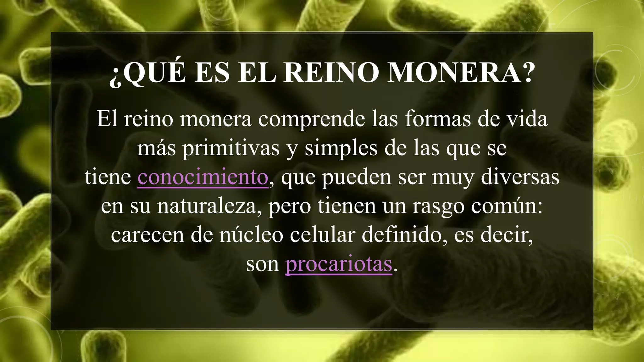 Reino Monera | PPTX