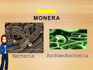 kingdom
Bacteria Archaeobacteria
MONERA
 