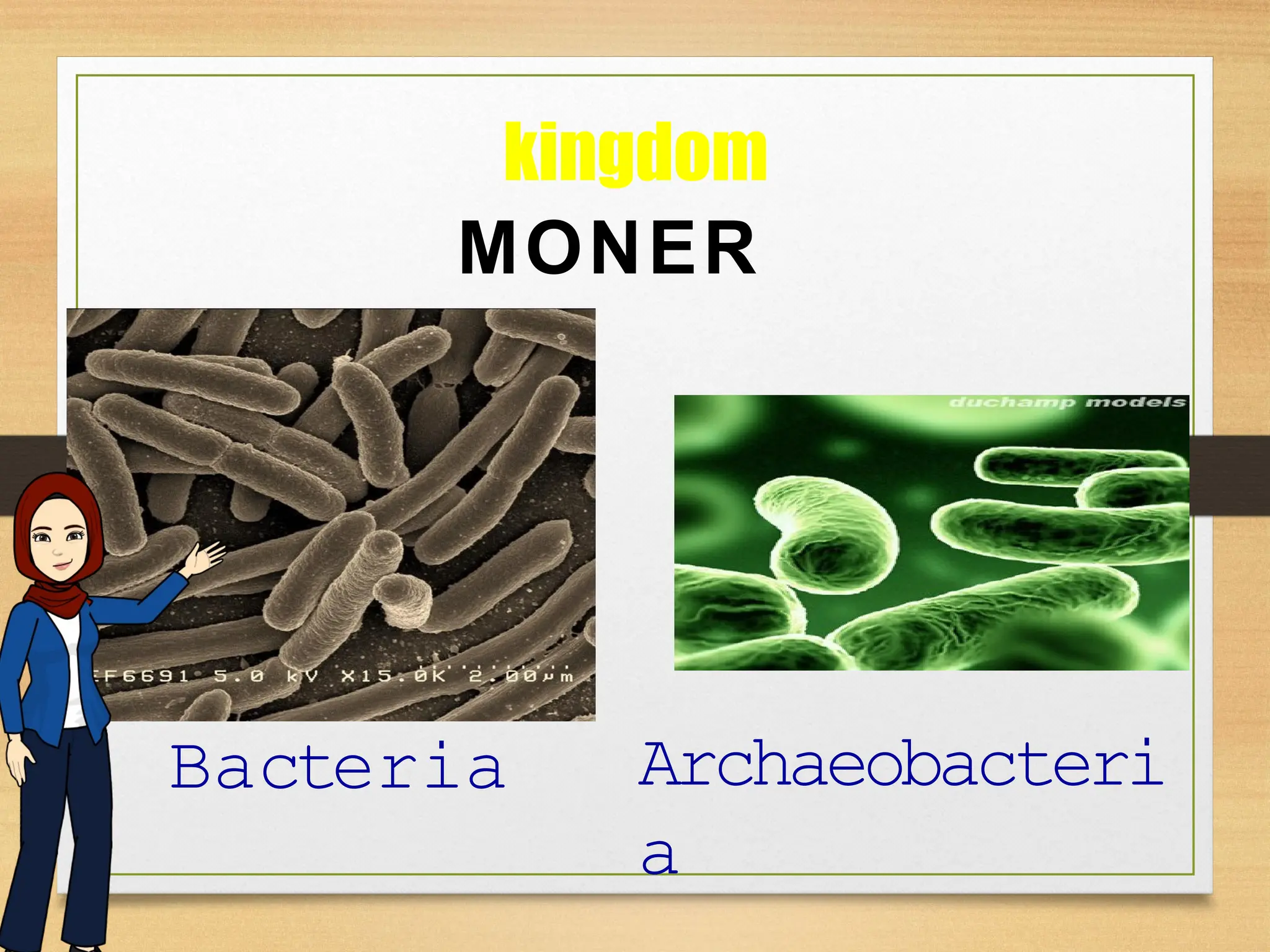 Klasifikasi kingdom monera pada materi keanekaragaman hayati | PPTX