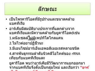 ลักษณะ
• เป็นโพรคาริโอตที่มีรูปร่างและขนาดคล ้าย
แบคทีเรีย
• อาร์เคียมีสมบัติบางประการที่แตกต่างจาก
แบคทีเรียและมีความคล ้ายกับยูคาริโอต เช่น
1.ผนังเซลล์ไม่มีเพปทิโดไกลแคน
2.ไม่ไวต่อยาปฏิชีวนะ
3.มีเอนไซม์อาร์เอ็นเอพอลิเมอเรสหลายชนิด
4.สารพันธุกรรมลาดับนิวคลีโอไทด์ของ rRNA
เทียบกับแบคทีเรียและ
ยูคาริโอต พบว่าอาร์เคียมีวิวัฒนาการแยกออกมา
จากแบคทีเรียจึงตั้งเป็นกลุ่มใหม่ และเรียกว่า “อาร ์
 