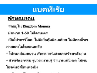 แบคทีเรีย
ลักษณะเด่น
จัดอยู่ใน Kingdom Monera
มีขนาด 1-50 ไมโครเมตร
เป็ นโปรคาริโอต: ไม่มีเยื่อหุ้มนิวเคลียส ไม่มีคลอโรพ
ลาสและไมโตคอนเดรีย
- ใช้เซลล์เมมเบรน สังเคราะห์แสงและสร้างพลังงาน
- สารพันธุกรรม รูปวงแหวนคู่ จานวนหนึ่งชุด ไม่พบ
โปรตีนฮีสโตนห่อหุ้ม
 