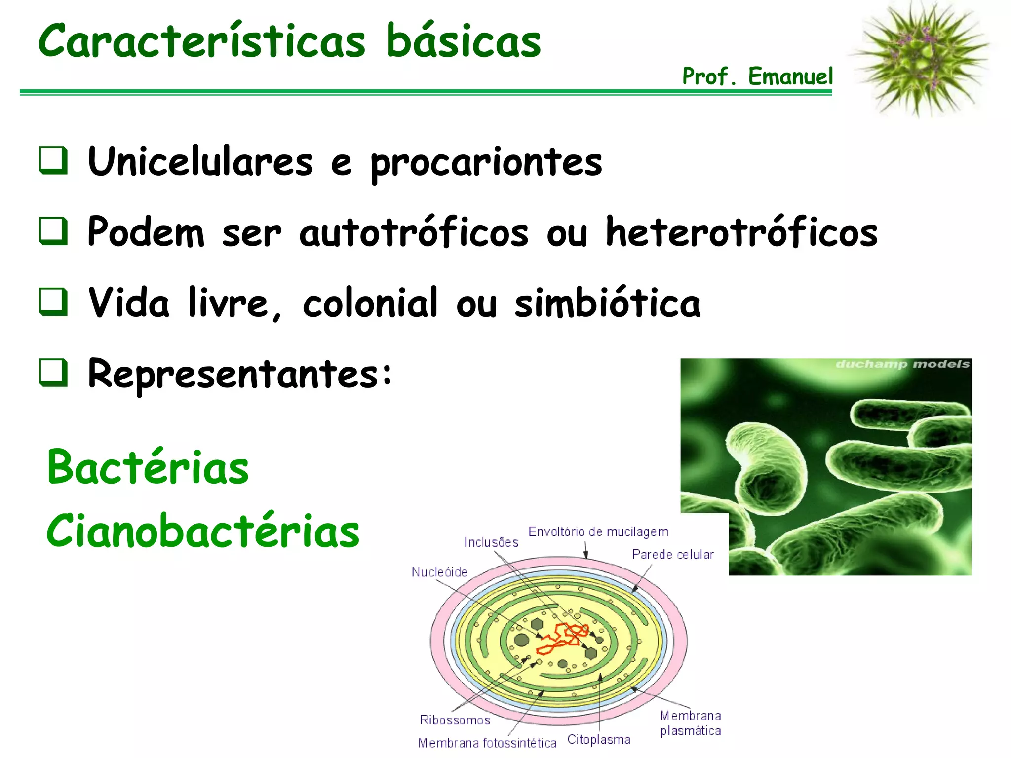 Reino Monera 2015 | PDF