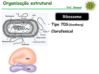 Prof. Emanuel
Organização estrutural
Ribossomo
• Tipo 70S (Svedberg)
• Clorafenicol
 