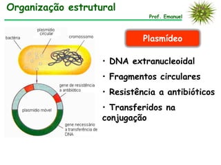 Prof. Emanuel
Organização estrutural
Plasmídeo
• DNA extranucleoidal
• Fragmentos circulares
• Resistência a antibióticos
• Transferidos na
conjugação
 