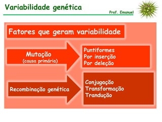 Prof. Emanuel
Variabilidade genética
Fatores que geram variabilidade
Conjugação
Transformação
Trandução
Recombinação genética
Mutação
(causa primária)
Puntiformes
Por inserção
Por deleção
 
