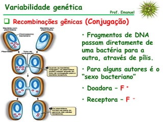  Recombinações gênicas (Conjugação)
• Fragmentos de DNA
passam diretamente de
uma bactéria para a
outra, através de pílis.
• Para alguns autores é o
“sexo bacteriano”
• Doadora – F +
• Receptora – F -
Prof. Emanuel
Variabilidade genética
 