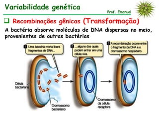 A bactéria absorve moléculas de DNA dispersas no meio,
provenientes de outras bactérias
 Recombinações gênicas (Transformação)
Prof. Emanuel
Variabilidade genética
 