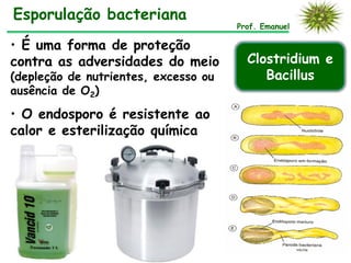• É uma forma de proteção
contra as adversidades do meio
(depleção de nutrientes, excesso ou
ausência de O2)
• O endosporo é resistente ao
calor e esterilização química
Esporulação bacteriana
Prof. Emanuel
Clostridium e
Bacillus
 