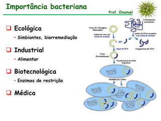  Ecológica
• Simbiontes, biorremediação
 Industrial
• Alimentar
 Biotecnológica
• Enzimas de restrição
 Médica
Importância bacteriana
Prof. Emanuel
 
