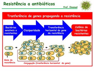 Resistência a antibióticos
Prof. Emanuel
Tranferência de genes propagando a resistência
Bactérias
sensíveis e
resistentes
Colônia de
bactérias
resistentes
Cissiparidade
Transferência
horizontal do gene
da resistência
Gene da
resistência Conjugação (tranferência horizontal do gene)
 