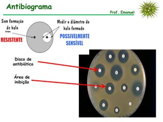 Disco de
antibiótico
Área de
inibição
Antibiograma
Prof. Emanuel
 