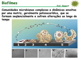 Comunidades microbianas complexas e dinâmicas envoltas
por uma matriz, geralmente polissacarídica, que se
formam seqüencialmente e sofrem alterações ao longo do
tempo
Prof. Emanuel
Biofilmes
 
