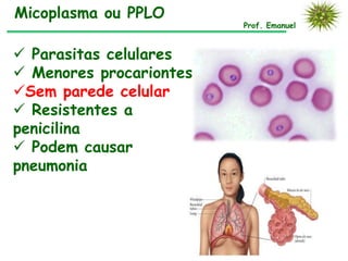 Prof. Emanuel
 Parasitas celulares
 Menores procariontes
Sem parede celular
 Resistentes a
penicilina
 Podem causar
pneumonia
Micoplasma ou PPLO
 