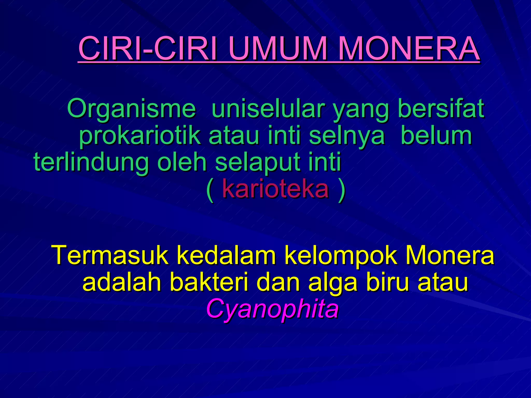 Monera pres | PPT