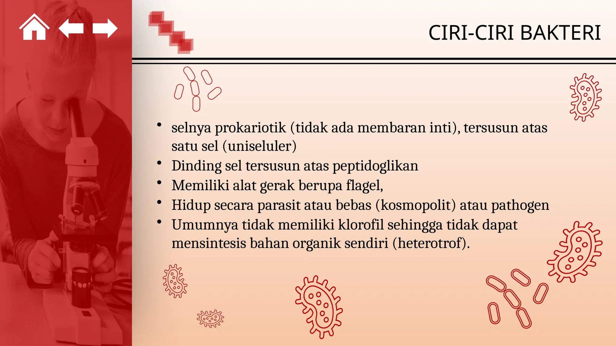 BAB 2 KINGDOM MONERA KURIKULUM MERDEKA ATAU KURIKULUM YANG LAIN | PPTX