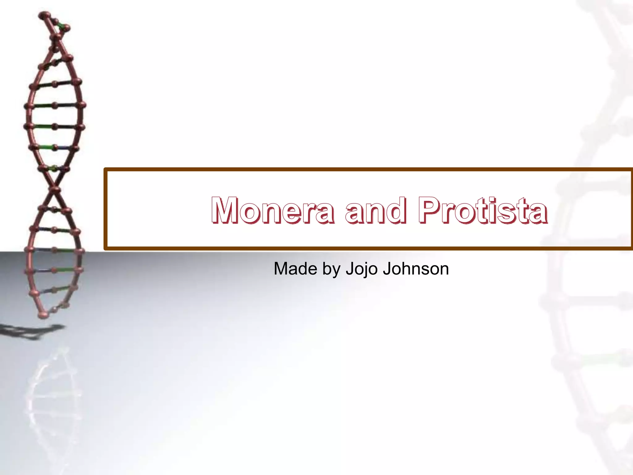 Monera and protista | PPTX