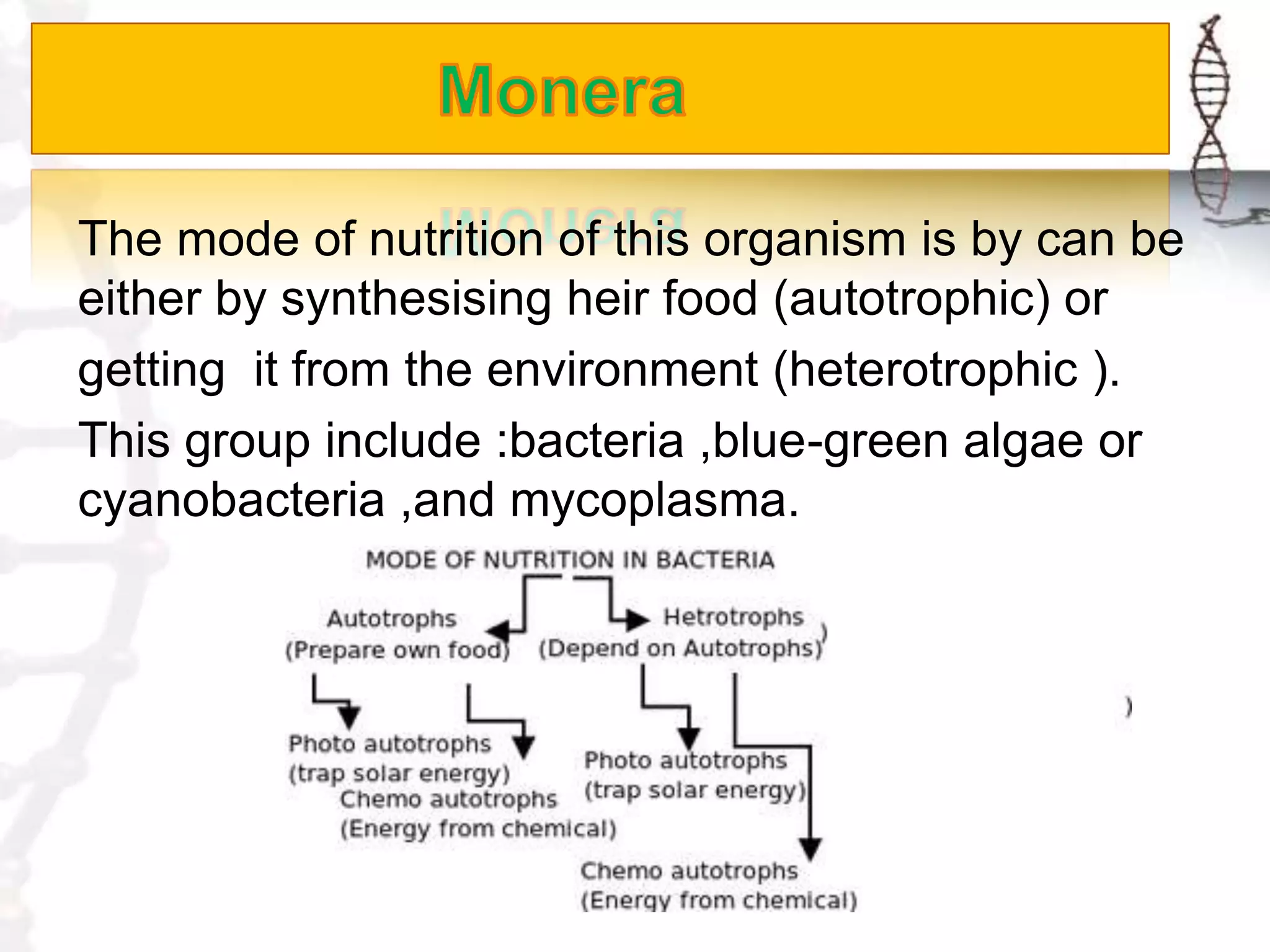 Monera and protista | PPTX