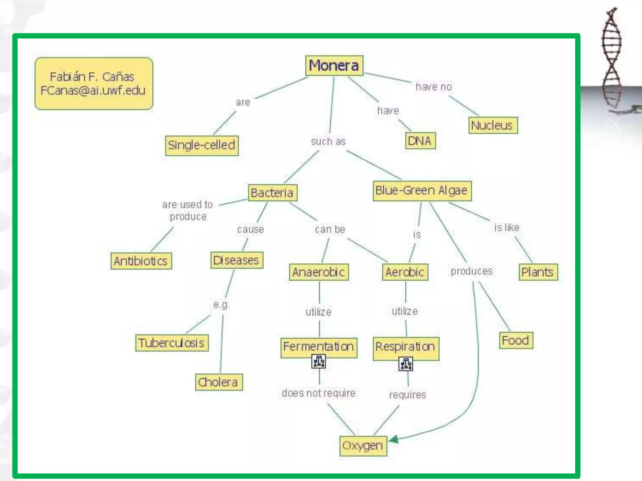 Monera meaning in english (97) foto