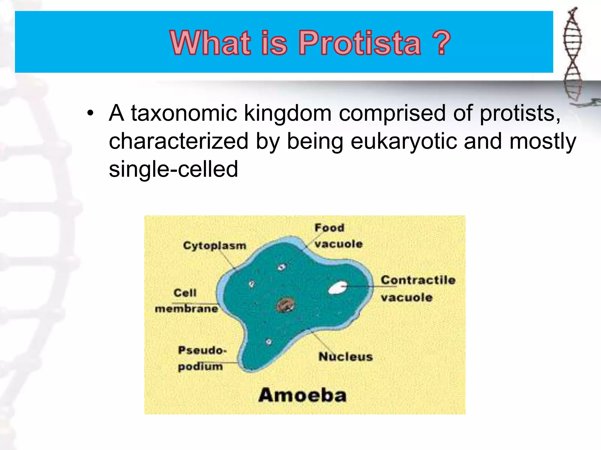 Monera and protista | PPTX