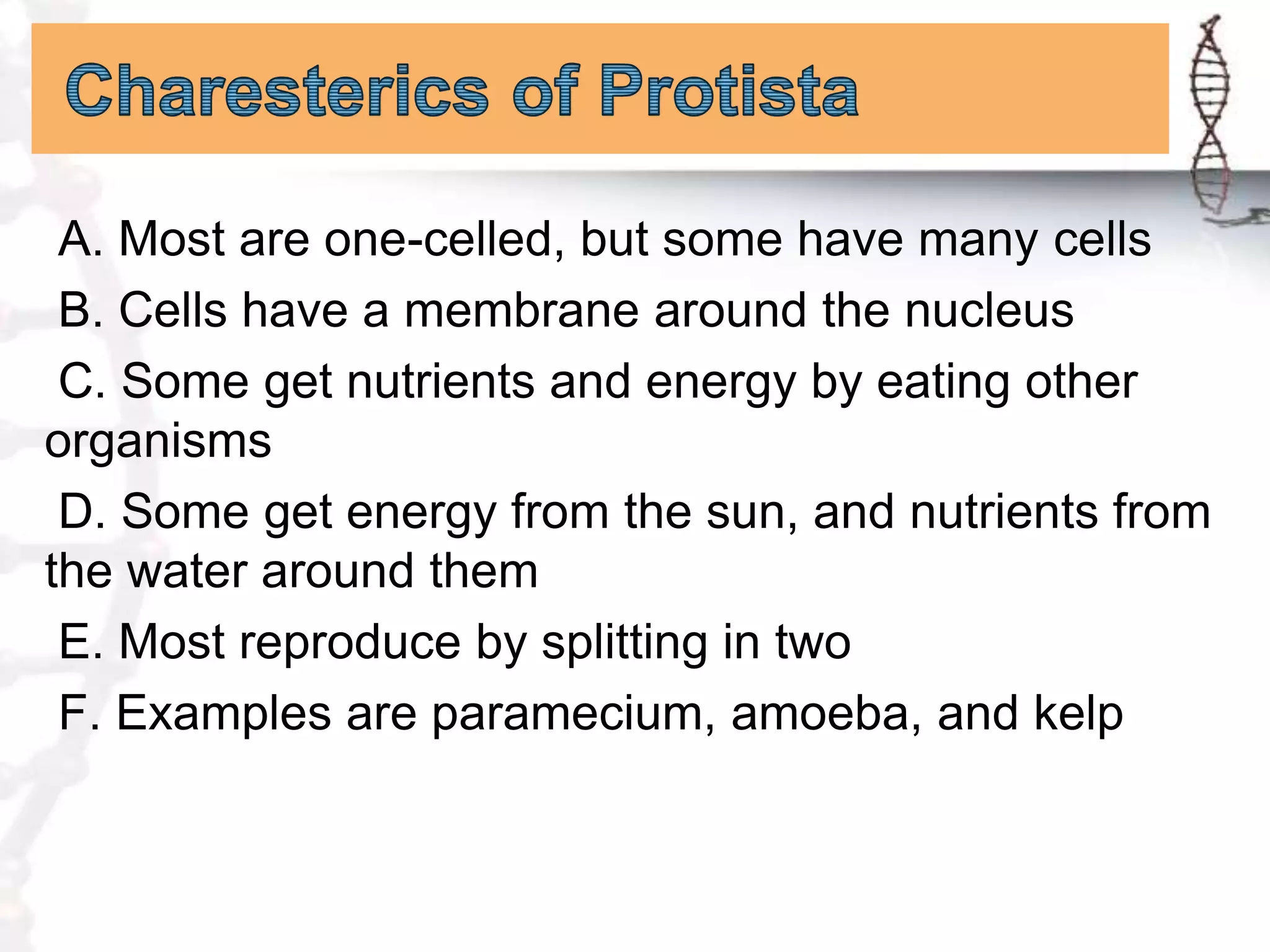 What is monera and protista (96) foto