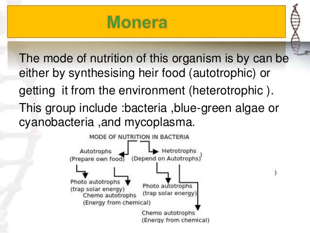 Anabaena 5 The Mode Of Nutrition Anabaena 5 The Mode Of Nutrition
