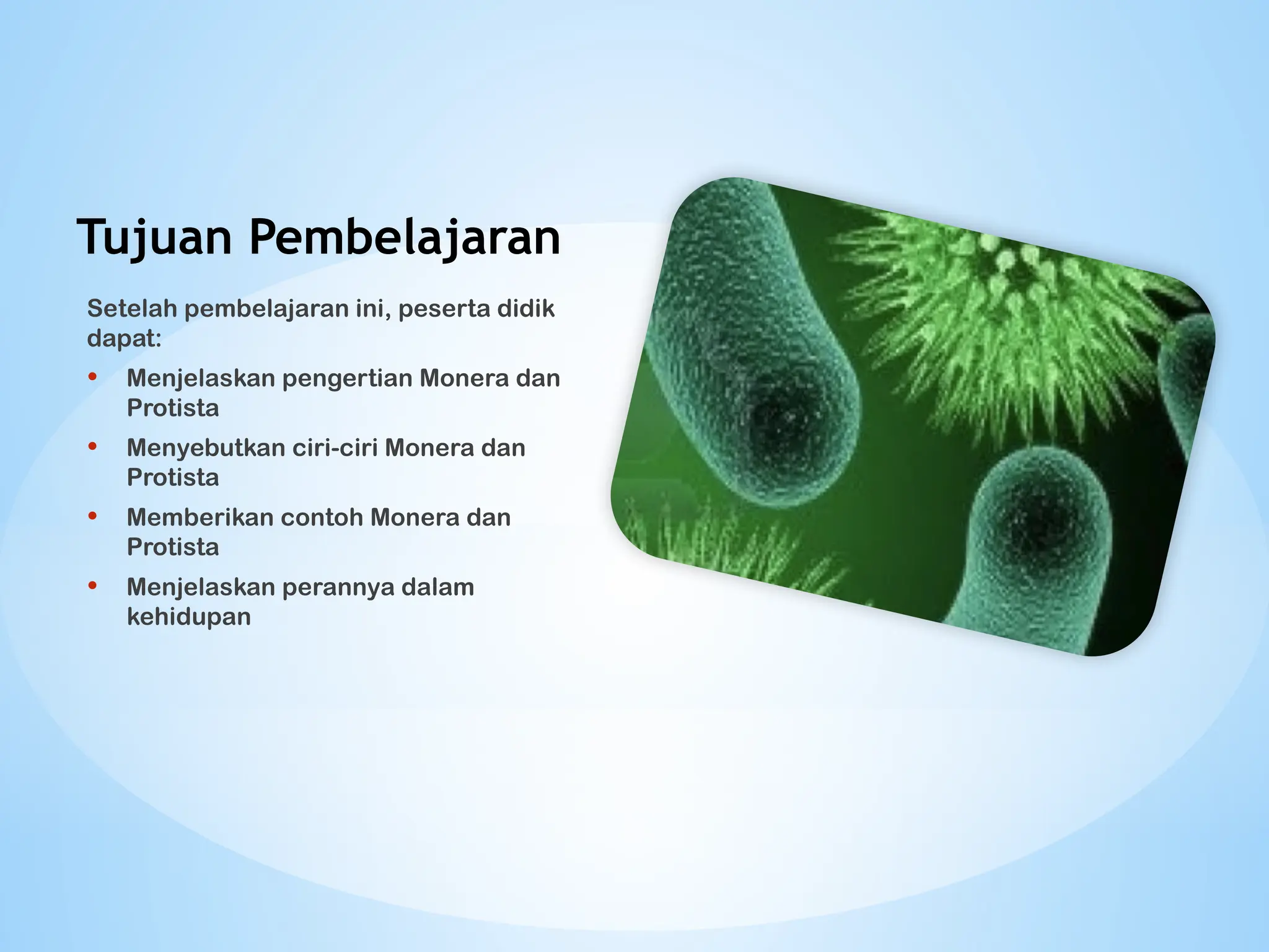 presentasi MONERA DAN PROTISTA SMP kurikulum merdeka.pptx