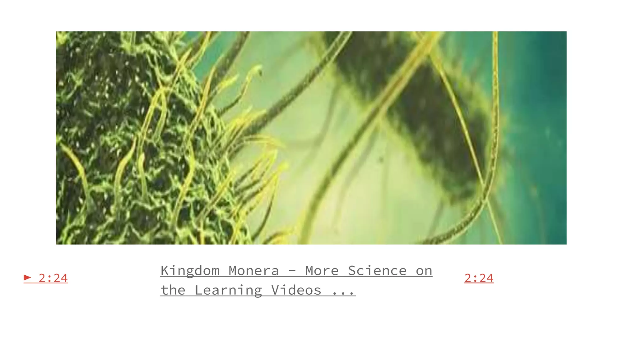 Monera kingdom | PPTX