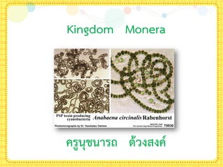 Kingdom Monera
ครูนุชนารถ ด้วงสงค์
 
