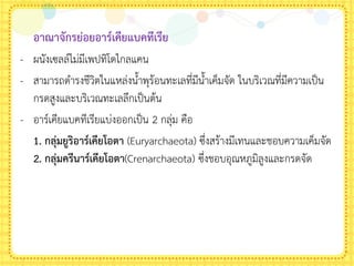 อาณาจักรย่อยอาร์เคียแบคทีเรีย
- ผนังเซลล์ไม่มีเพปทิโดไกลแคน
- สามารถด้ารงชีวิตในแหล่งน้าพุร้อนทะเลที่มีน้าเค็มจัด ในบริเวณที่มีความเป็น
กรดสูงและบริเวณทะเลลึกเป็นต้น
- อาร์เคียแบคทีเรียแบ่งออกเป็น 2 กลุ่ม คือ
1. กลุ่มยูริอาร์เคียโอตา (Euryarchaeota) ซึ่งสร้างมีเทนและชอบความเค็มจัด
2. กลุ่มครีนาร์เคียโอตา(Crenarchaeota) ซึ่งชอบอุณหภูมิลูงและกรดจัด
 