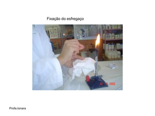 Fixação do esfregaço




Profa.Ionara
 